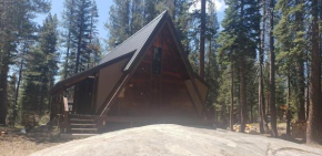 Awesome A-Frame! Ski In Ski Out and Dog Friendly! Home 216 home